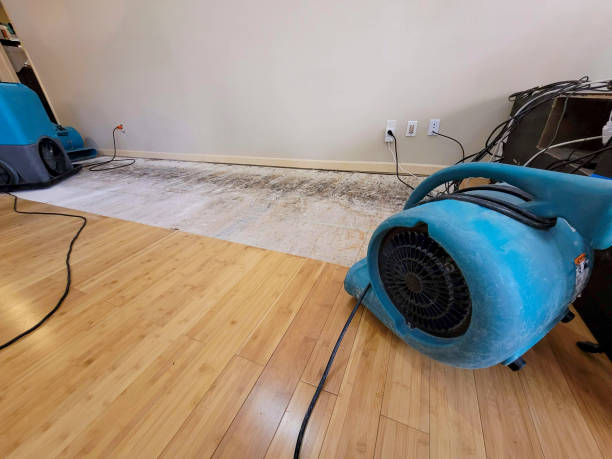 Professional Water Extraction technician working in Greeley, KS